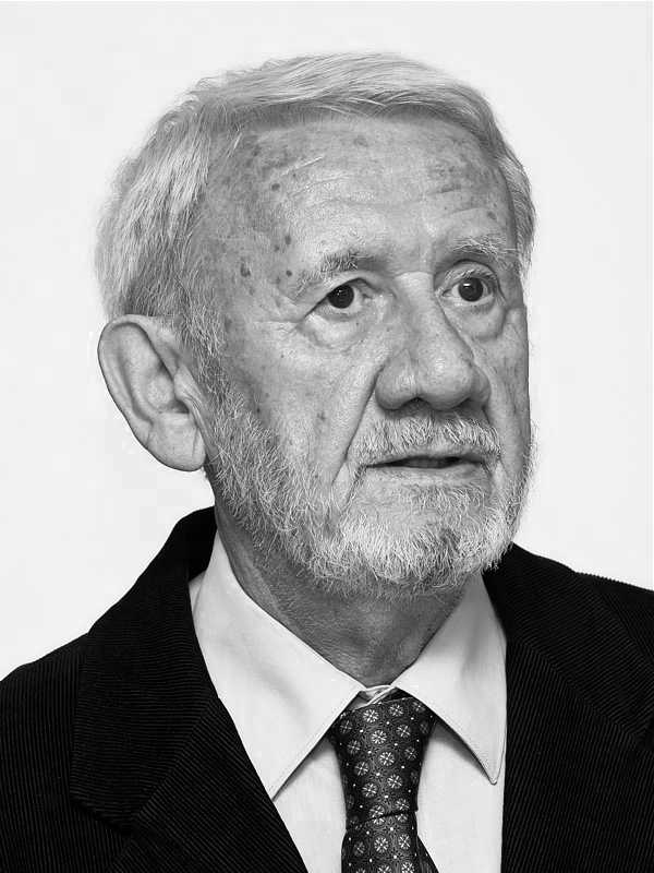 vladimir jelinek